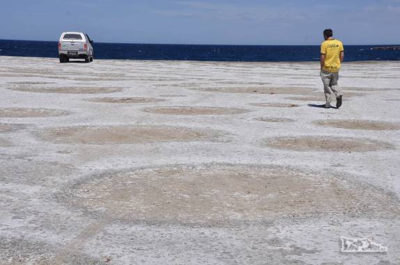 Com a ajuda da Fiona, explorando o litoral sul da Península Valdés, na Argentina, região de Puerto Piramides